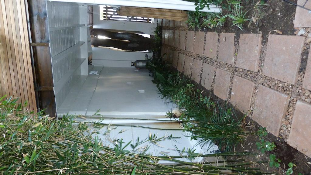 4 On Highworth Apartments And Studios Cape Town Ngoại thất bức ảnh